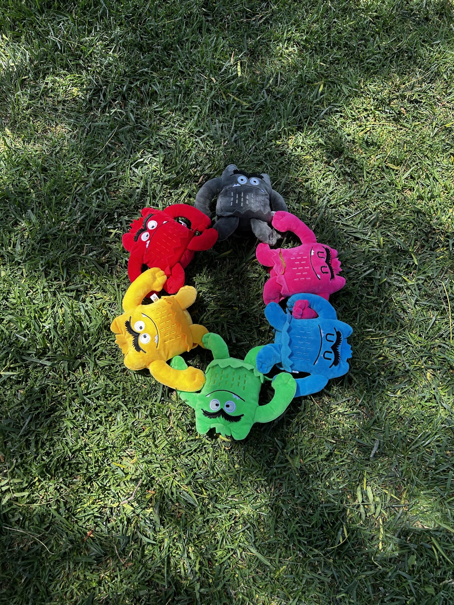 My Colorful Critters